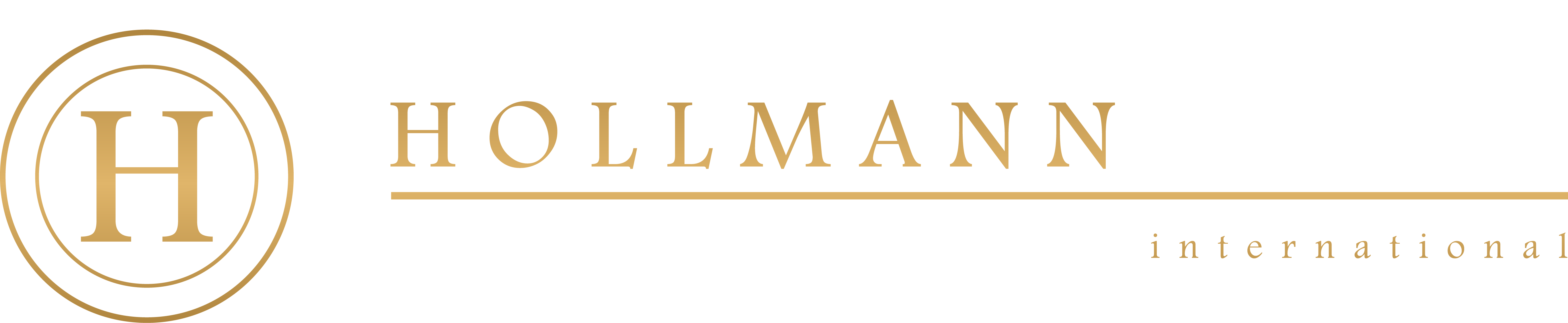 Hollman Logo