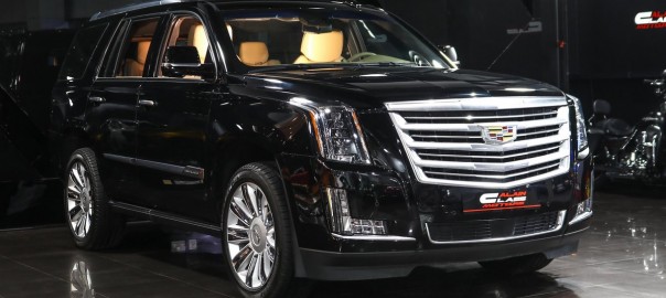 2019 Cadillac Escalade Platinum #BLACK # 9603 (1)