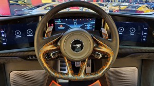 2021 McLaren Speedtail #WHITE # 3017 (31)